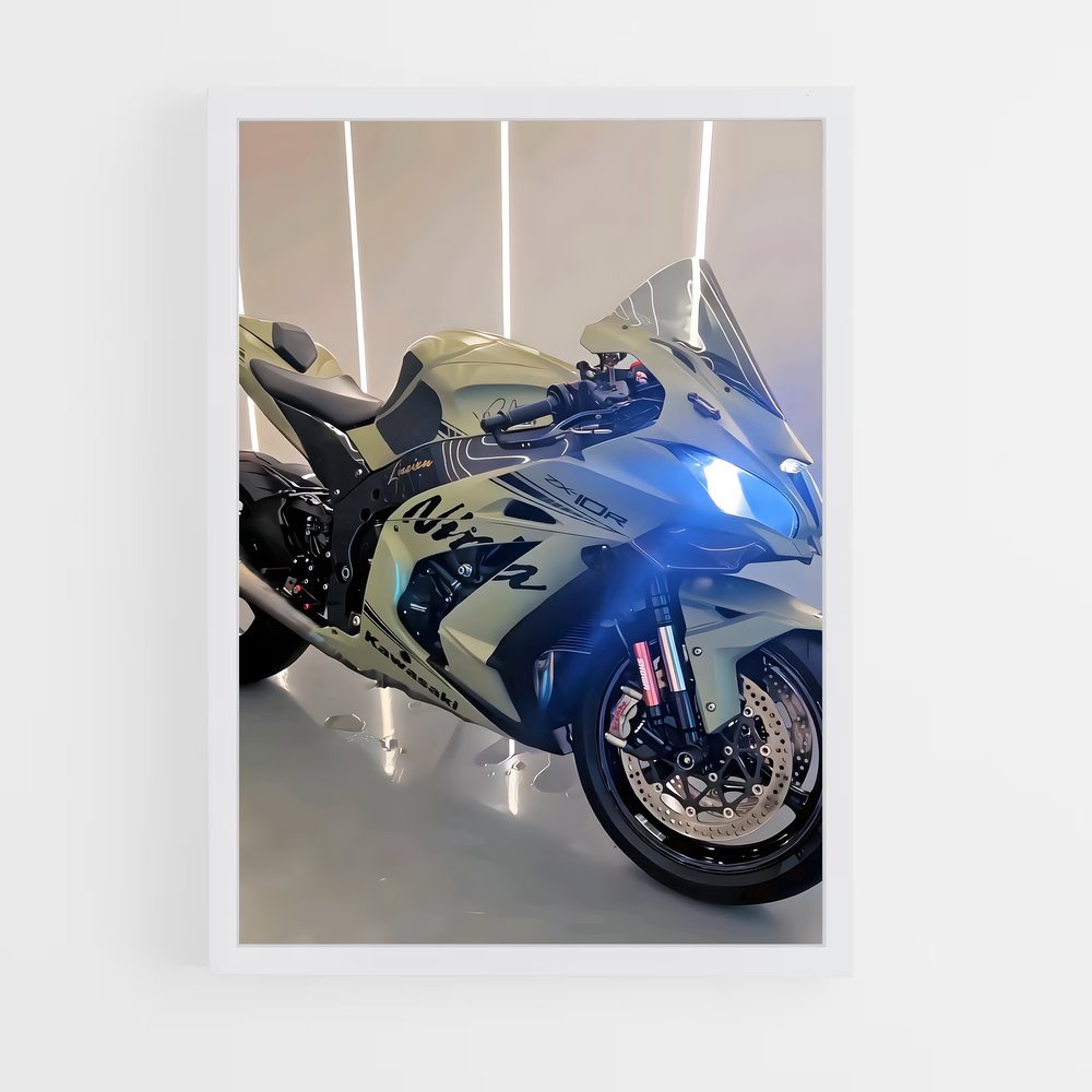 Poster Ninja En Garde (vue 3)